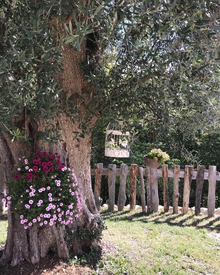 Agriturismo Le Faeta Arpino Екстер'єр фото