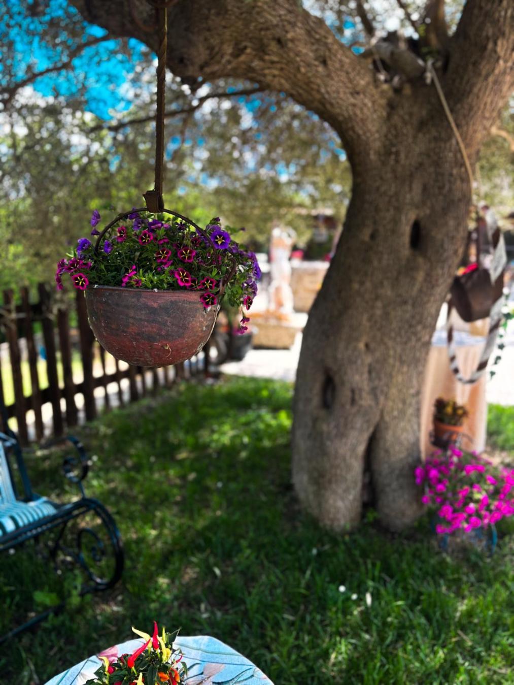 Agriturismo Le Faeta Arpino Екстер'єр фото