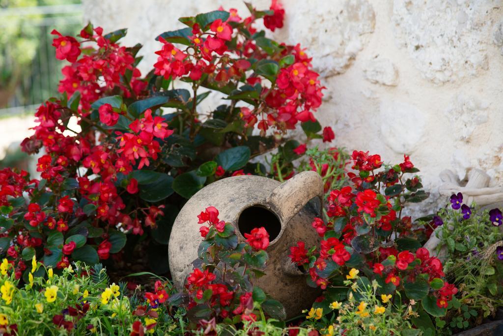 Agriturismo Le Faeta Arpino Екстер'єр фото
