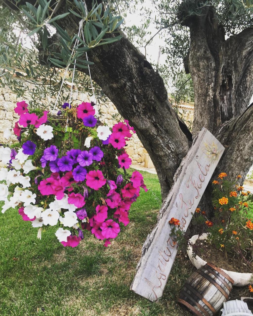 Agriturismo Le Faeta Arpino Екстер'єр фото